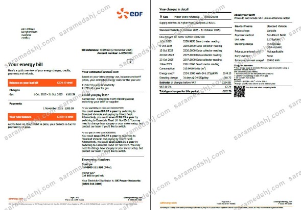 France EDF utility bill template in Word and PDF formats, 2 pages